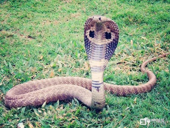 Giao lưu Câu lạc bộ phòng, chống mua bán người
